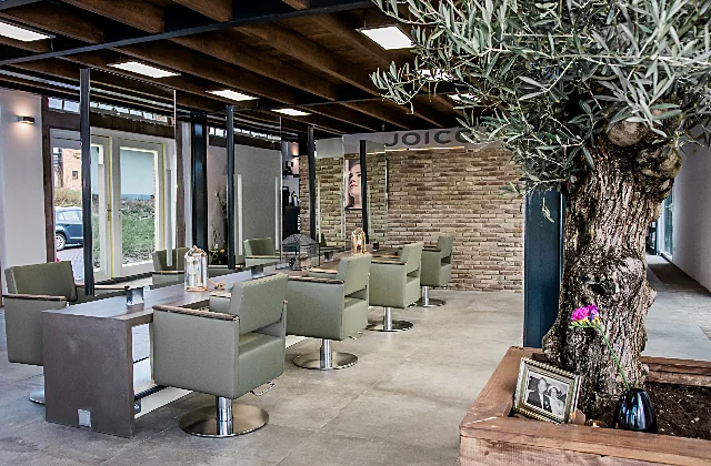 De salon met grijsgroene stoelen, een olijfboom en de bakstenen muur